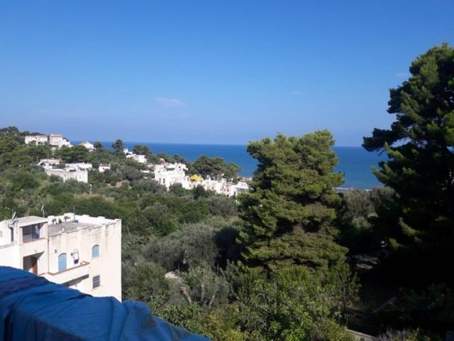 Tramonti Villa ซาน เมนาโย ภายนอก รูปภาพ